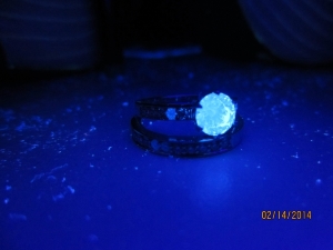 fluor_3.jpg