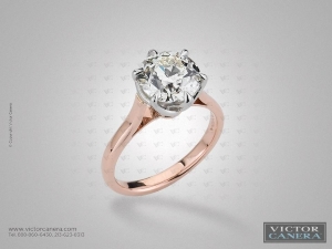 canera-rose-gold.jpg