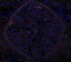 Crop1Reviewed.png