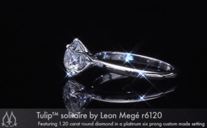tulip2.png tulip2.png