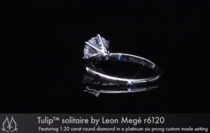 tulip3.png tulip3.png