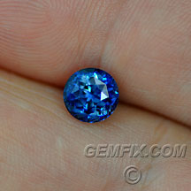 sapphire_blue_1156_a-2.jpg