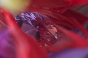 NewTourmaline4.jpg NewTourmaline4.jpg