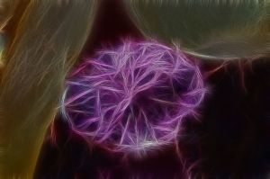 NewTourmaline7WV.jpg NewTourmaline7WV.jpg