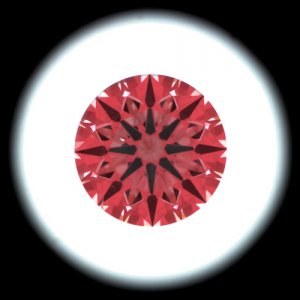 IS_AGS83644063.jpg
