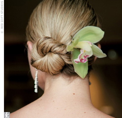 Chignon_large_image.jpg