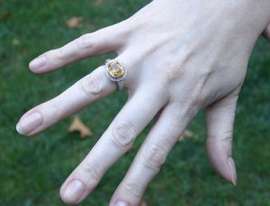martinflyeryellowsapphire2sm.jpg