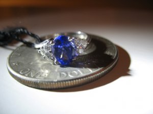 IMG_11855.JPG