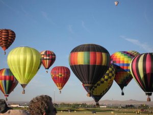 IMG_01233.JPG