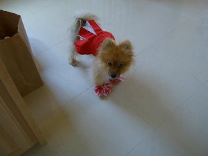 gigi2.jpg