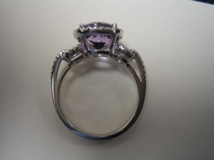 IMG_3649.sized.jpg
