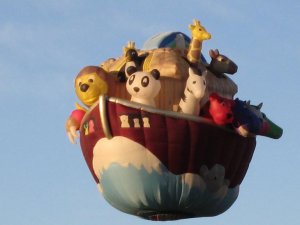 IMG_0112.JPG