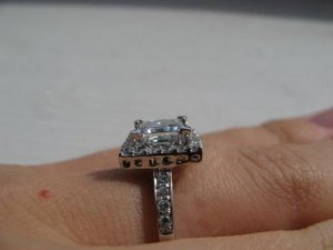 IMG_1054comp.jpg