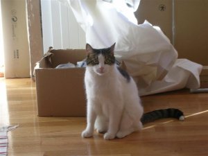 DSCN5558.jpg