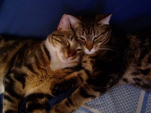 BFF.jpg