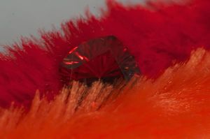 Redororange1.jpg