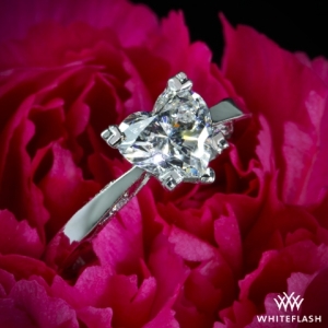 tacori-customized-flat-edge-solitaire-engagement-ring-in-platinum-for-whiteflash_37574_g.jpg