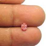 sfn3365-0_0.jpg