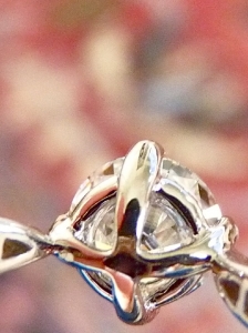 p1090083_0.jpg