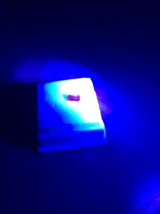2014-05-01_14.jpg
