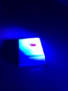 2014-05-01_14_0.jpg