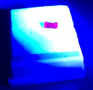 closeup_2.jpg
