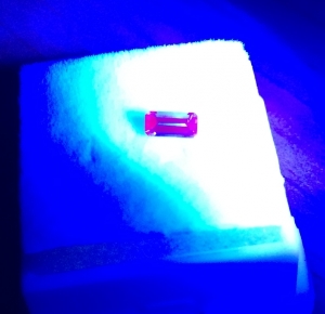 closeup2.jpg