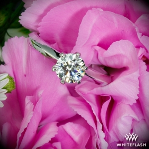 classic-knife-edge-solitaire-engagement-ring-in-18k-white-gold-by-whiteflash_38104_g.jpg classic-knife-edge-solitaire-engagement-ring-in-18k-white-gold-by-whiteflash_38104_g.jpg
