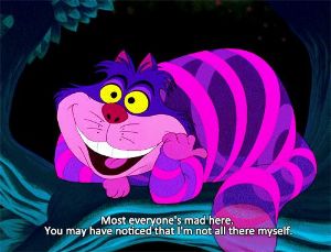 23-alice-in-wonderland-quotes.jpg