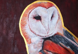 barnowl.jpg
