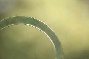 jade7f07d3a95_z.jpg