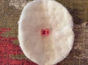 image_1952.jpg