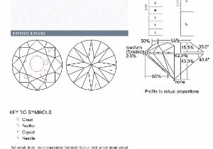 solomon_bros_si2_f.jpg