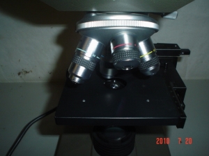 C03179a.jpg