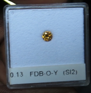 fdbyo.jpg