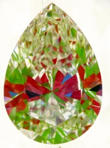 po___112724_ps_0.jpg