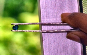 bl6.jpg