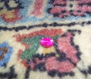 ruby_on_carpet_cropped.jpg