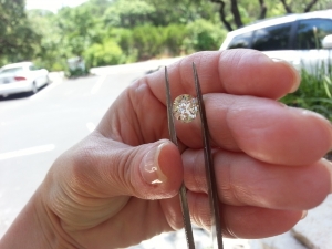 2013-06-06_13.jpg