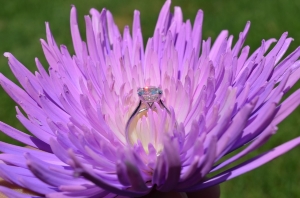 dsc_1311.jpg