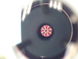 76y5ff46_idealscope_0.jpg