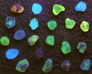 fluorescence_-__web_image.jpg