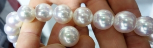 top-luster-south-sea-strand-with-a-top-luster-freshwater-pearl.jpg