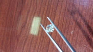 20140912_104659.jpg