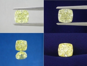 1b-mlyellow-cb.jpg