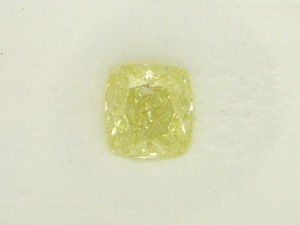 dscnsm-mlyellow.jpg