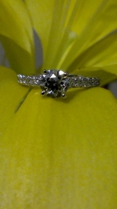 imag0832.jpg