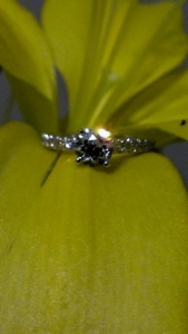 imag0833.jpg