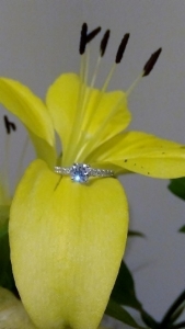 imag0834.jpg