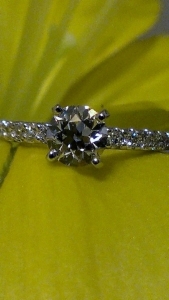 imag0836.jpg